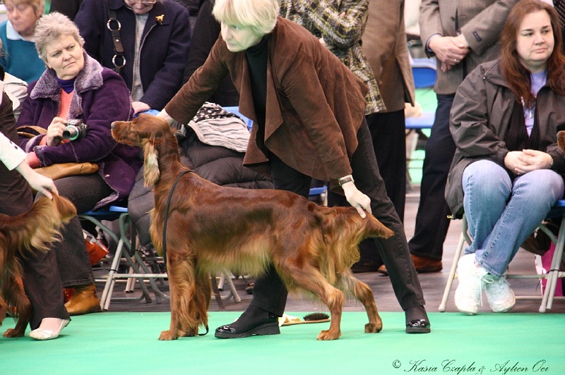 Crufts2011 262.jpg